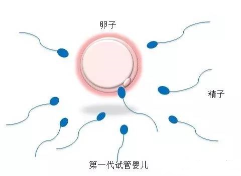 检验中心